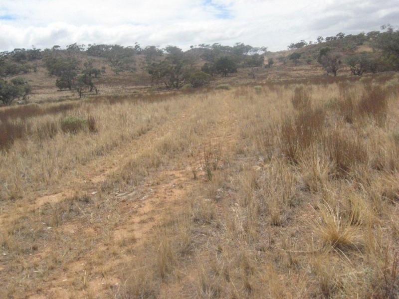 - 1333ha “Raglass” 3,295acs, Hallett SA 5419