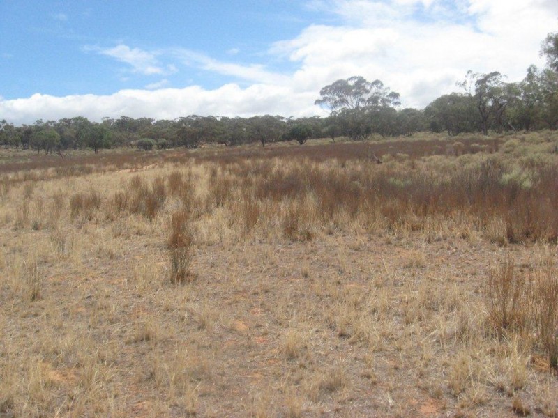 - 1333ha “Raglass” 3,295acs, Hallett SA 5419