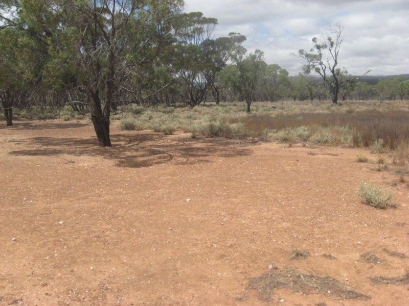 - 1333ha “Raglass” 3,295acs, Hallett SA 5419