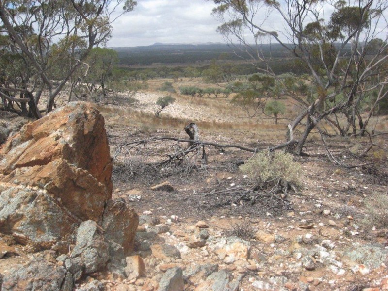 - 1333ha “Raglass” 3,295acs, Hallett SA 5419