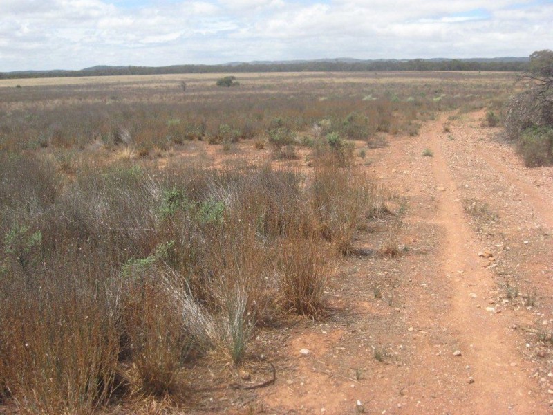 - 1333ha “Raglass” 3,295acs, Hallett SA 5419