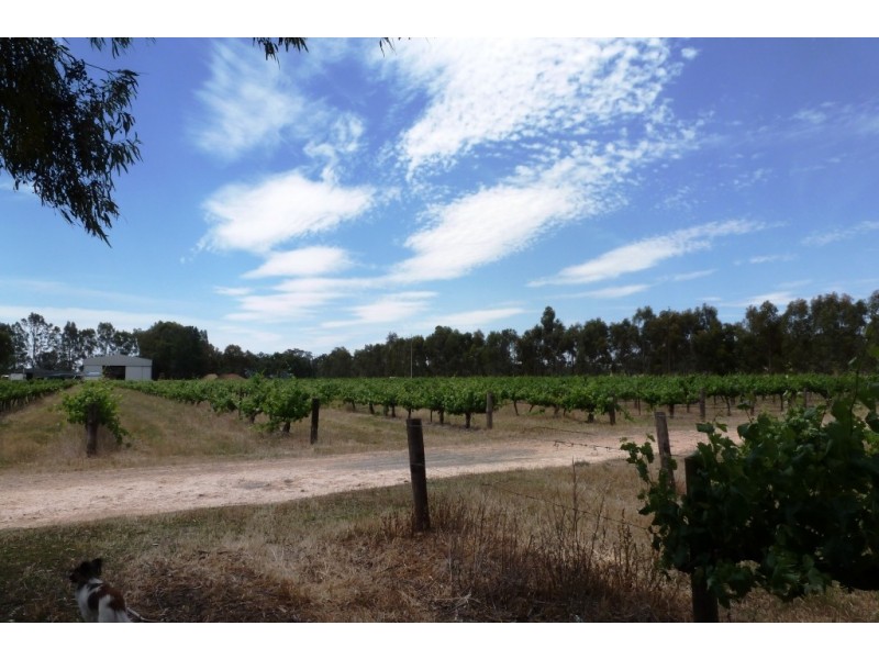 - Horrocks Highway, Clare SA 5453