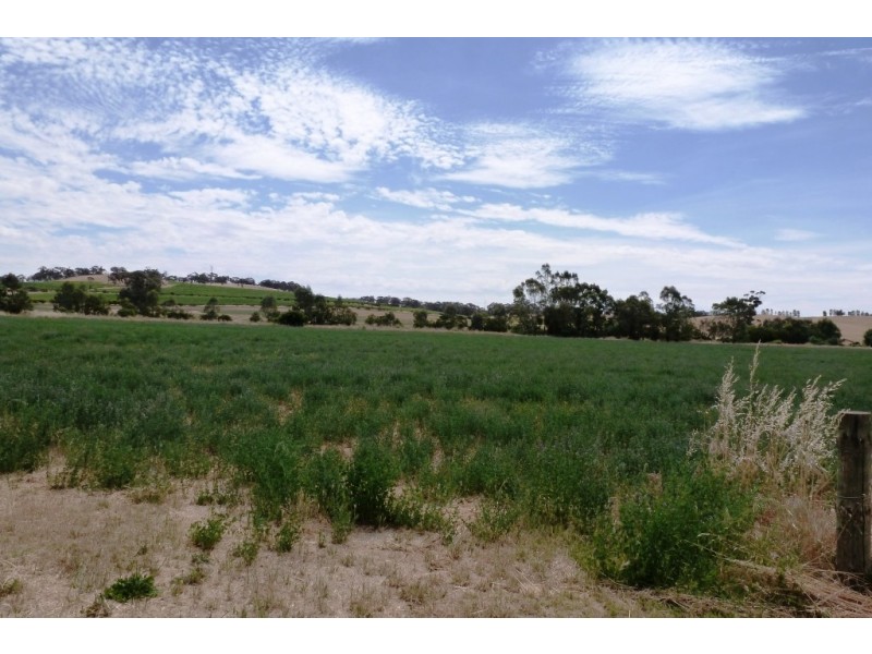 - Horrocks Highway, Clare SA 5453