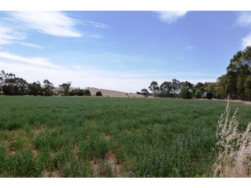 - Horrocks Highway, Clare SA 5453