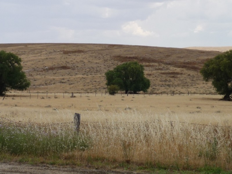 4 Holder/Copperhouse Street, Burra SA 5417