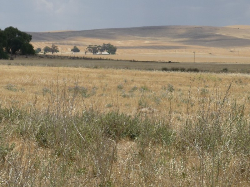 4 Holder/Copperhouse Street, Burra SA 5417