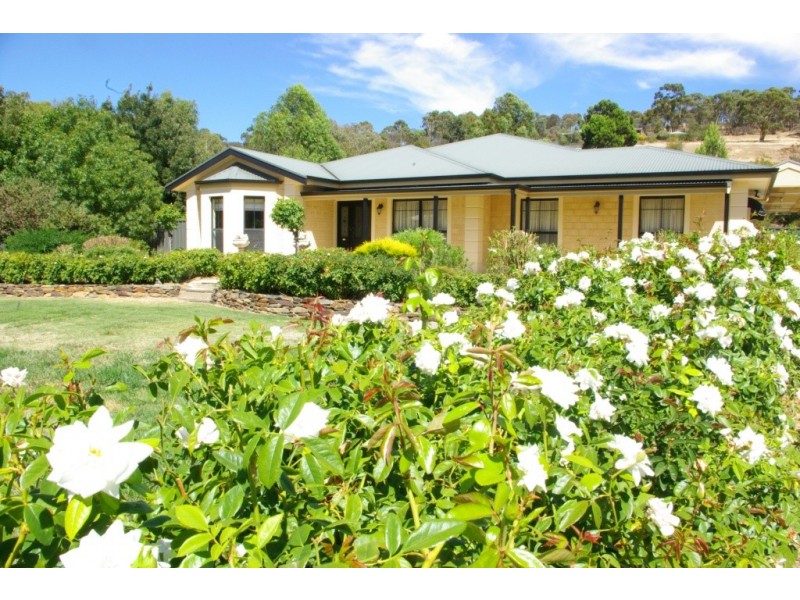 Lot 3 Main North Road, Clare SA 5453