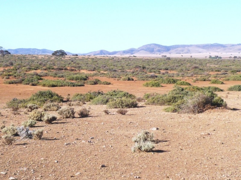 - “Duttons Trough East”, Burra SA 5417