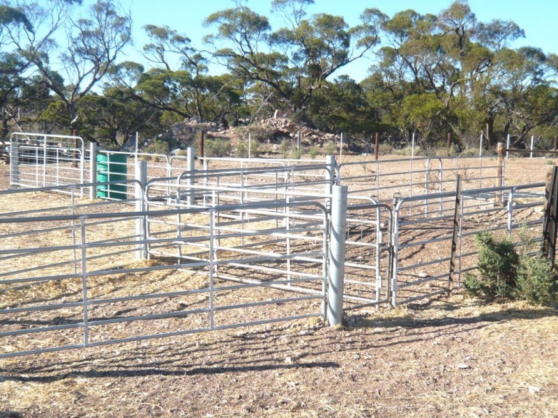 - “Duttons Trough East”, Burra SA 5417