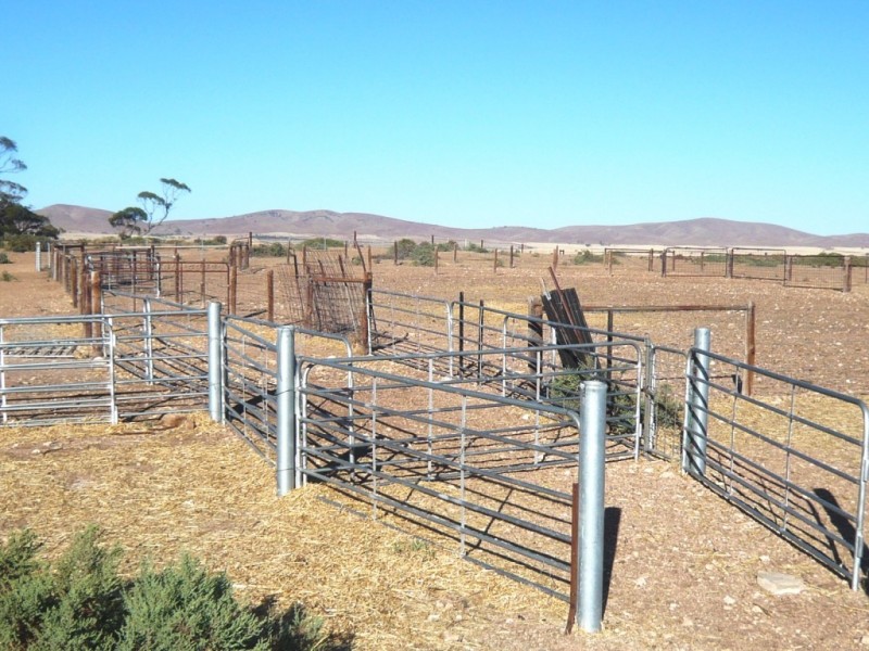 - “Duttons Trough East”, Burra SA 5417