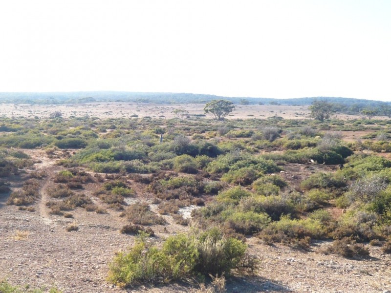 - “Duttons Trough East”, Burra SA 5417