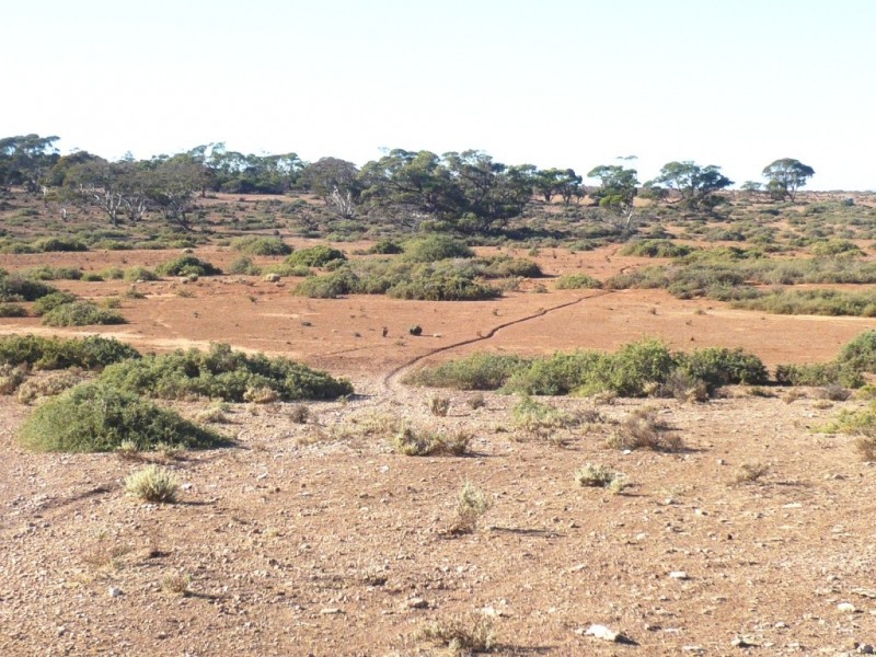 - “Duttons Trough East”, Burra SA 5417