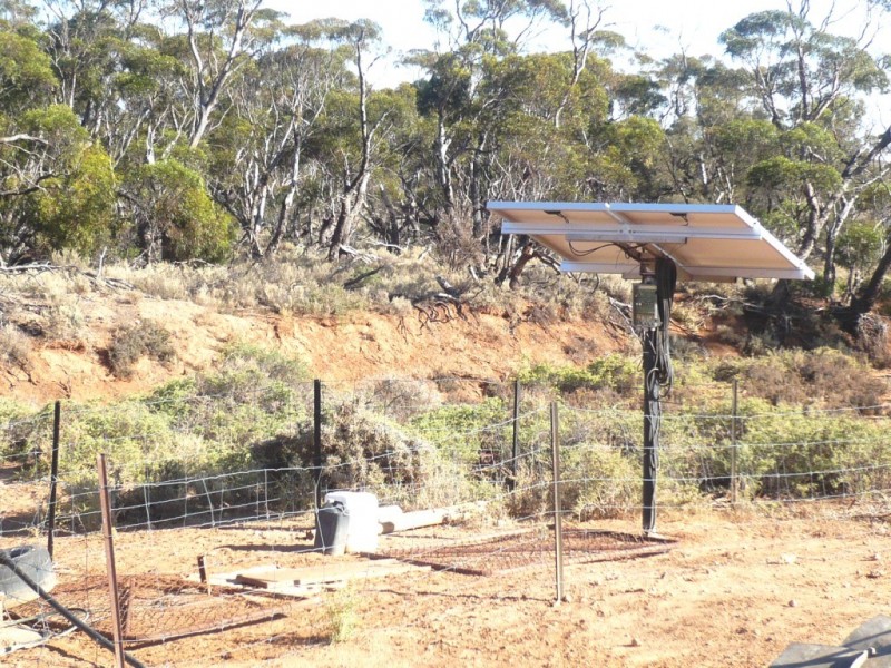 - “Duttons Trough East”, Burra SA 5417