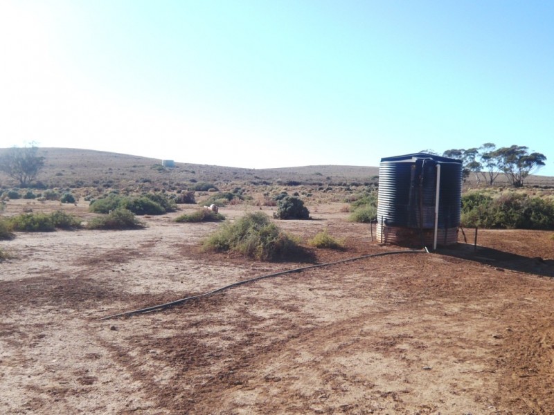 - “Duttons Trough East”, Burra SA 5417