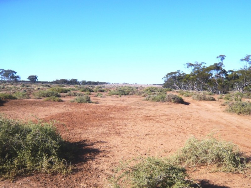 - “Duttons Trough East”, Burra SA 5417