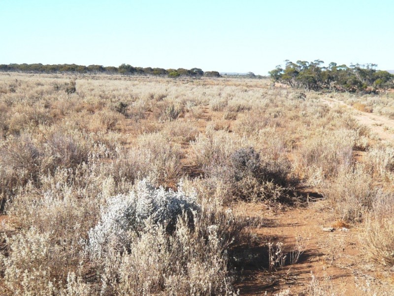 - “Duttons Trough East”, Burra SA 5417