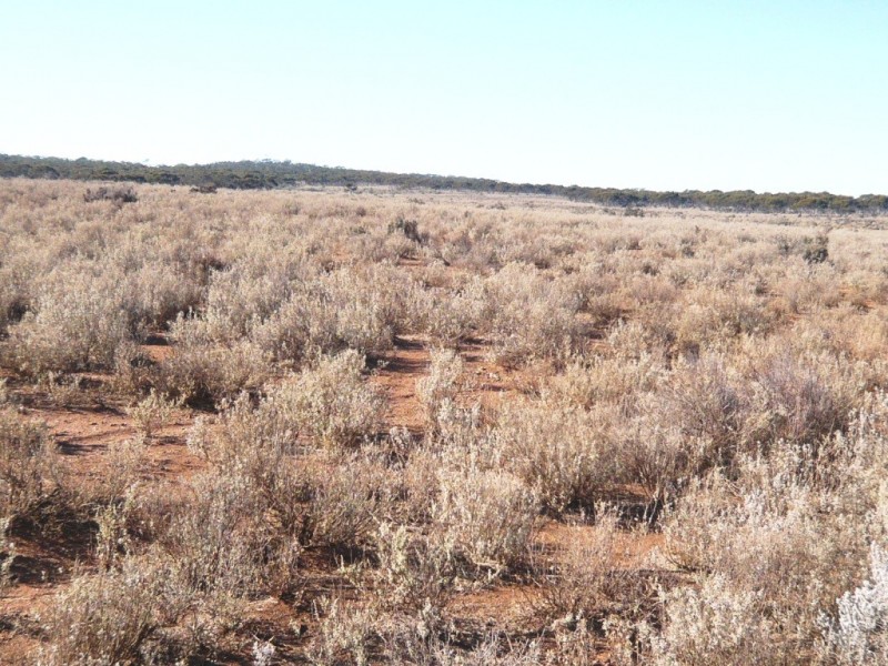 - “Duttons Trough East”, Burra SA 5417