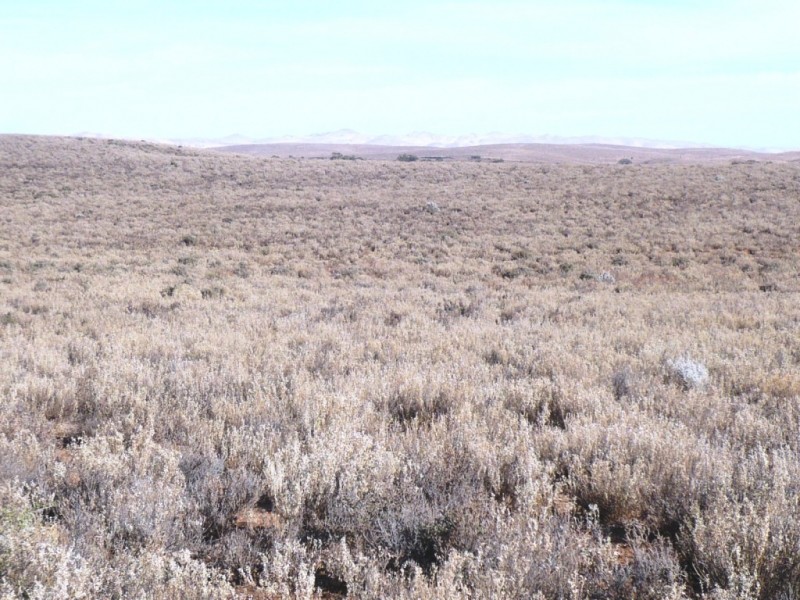 - “Duttons Trough East”, Burra SA 5417