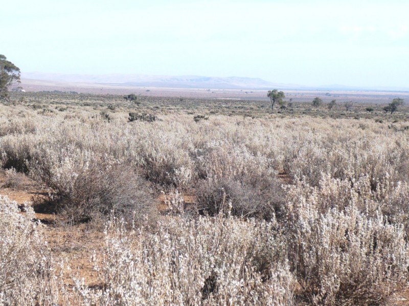 - “Duttons Trough East”, Burra SA 5417