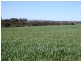* 1193.91ha Catfords 2950.74acs, Tarcowie SA 5431