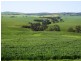 * 1193.91ha Catfords 2950.74acs, Tarcowie SA 5431