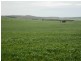 * 1193.91ha Catfords 2950.74acs, Tarcowie SA 5431