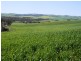 * 1193.91ha Catfords 2950.74acs, Tarcowie SA 5431