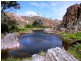 * 1193.91ha Catfords 2950.74acs, Tarcowie SA 5431