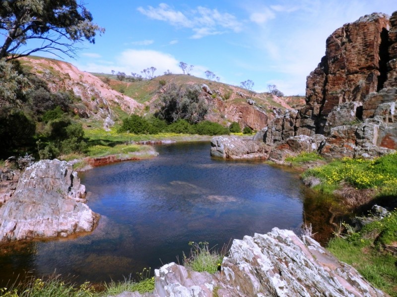 * 1193.91ha Catfords 2950.74acs, Tarcowie SA 5431