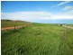 * 1193.91ha Catfords 2950.74acs, Tarcowie SA 5431