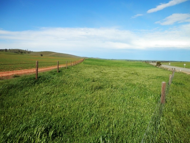 * 1193.91ha Catfords 2950.74acs, Tarcowie SA 5431