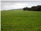 * 1193.91ha Catfords 2950.74acs, Tarcowie SA 5431