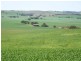 * 1193.91ha Catfords 2950.74acs, Tarcowie SA 5431