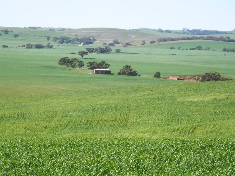 * 1193.91ha Catfords 2950.74acs, Tarcowie SA 5431