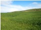 * 1193.91ha Catfords 2950.74acs, Tarcowie SA 5431