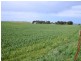 * 1193.91ha Catfords 2950.74acs, Tarcowie SA 5431
