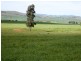 * 1193.91ha Catfords 2950.74acs, Tarcowie SA 5431