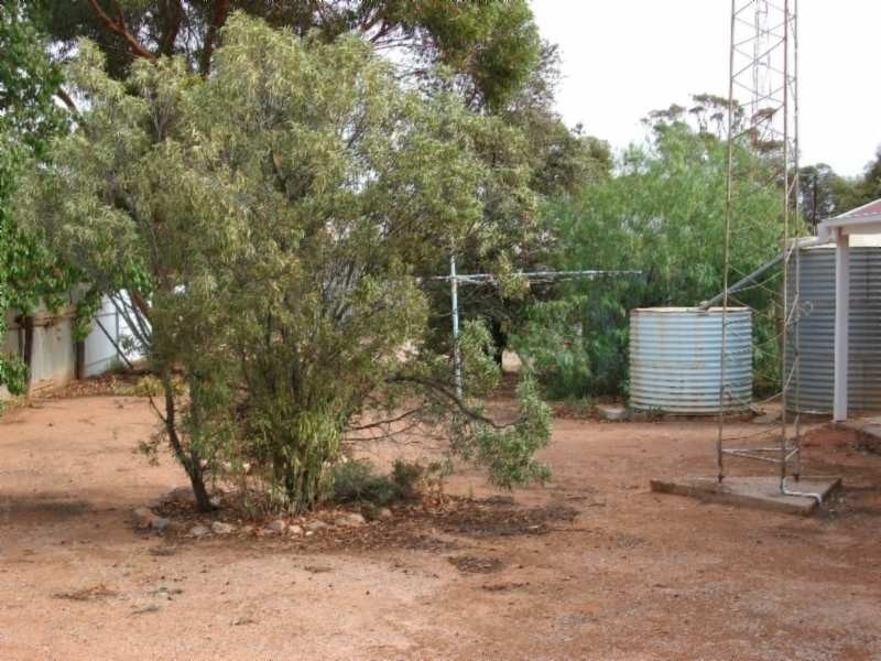 2 Heysen Street, Hawker SA 5434