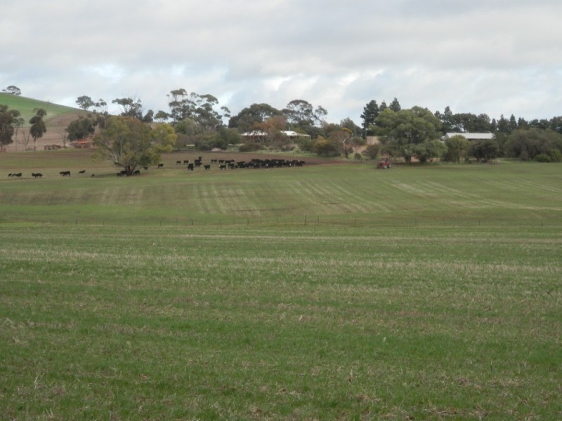 * 443.22ha Willawarra 1095.5acs, Manoora SA 5414
