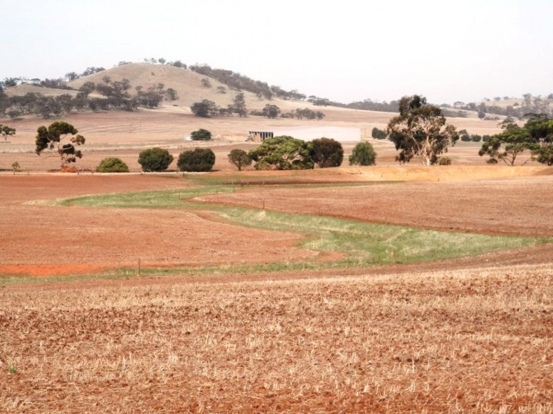 * 443.22ha Willawarra 1095.5acs, Manoora SA 5414