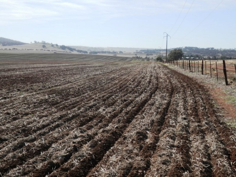 * 443.22ha Willawarra 1095.5acs, Manoora SA 5414