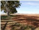 * 443.22ha Willawarra 1095.5acs, Manoora SA 5414