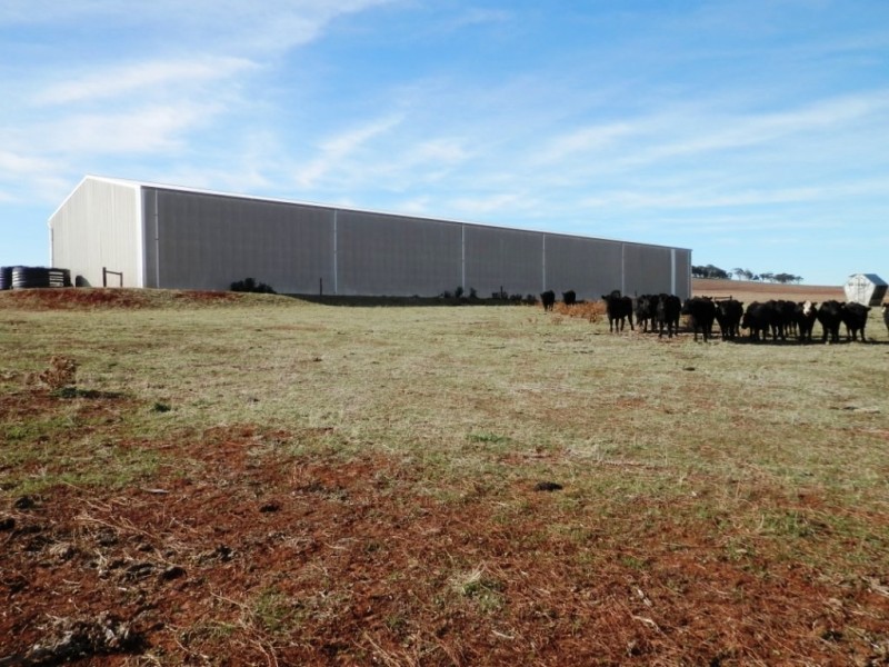 * 443.22ha Willawarra 1095.5acs, Manoora SA 5414