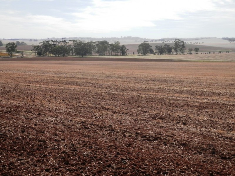 * 443.22ha Willawarra 1095.5acs, Manoora SA 5414