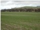 * 443.22ha Willawarra 1095.5acs, Manoora SA 5414