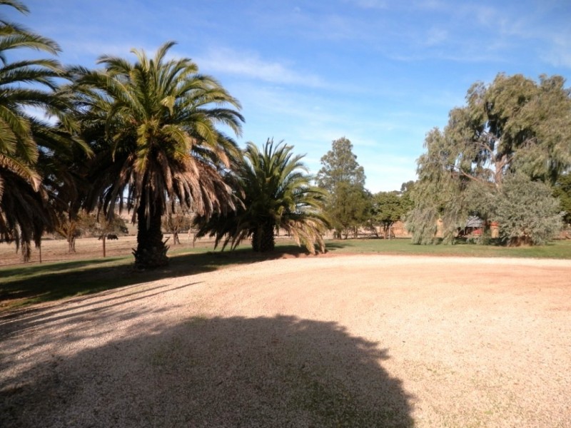 * 443.22ha Willawarra 1095.5acs, Manoora SA 5414