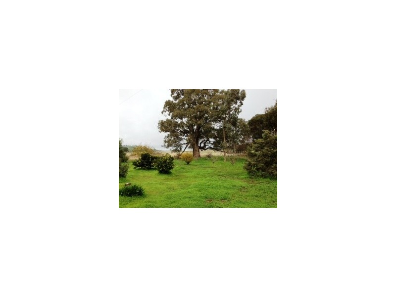 * “Willow Glen”, Manoora SA 5414