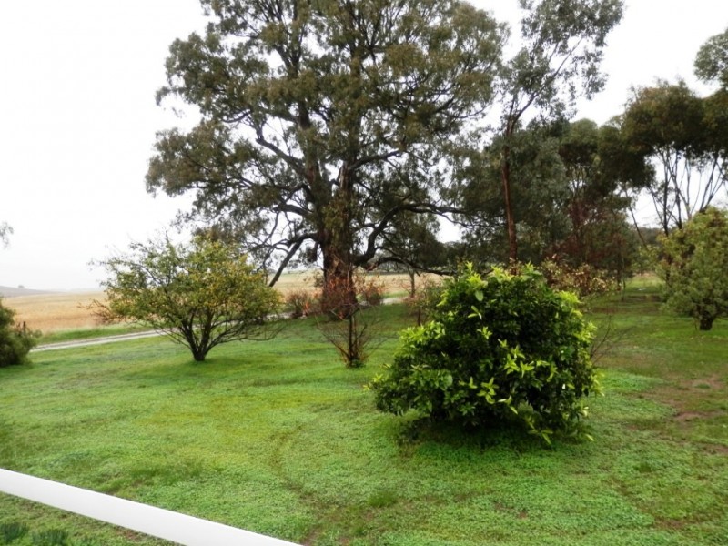 * “Willow Glen”, Manoora SA 5414
