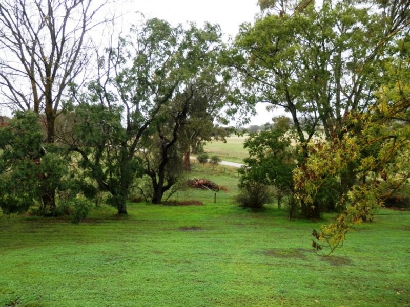 * “Willow Glen”, Manoora SA 5414