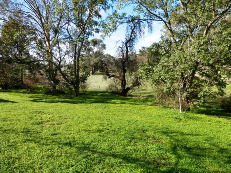 * “Willow Glen”, Manoora SA 5414